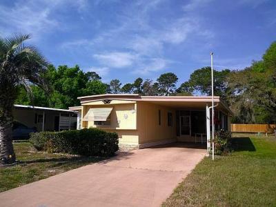 Photo 1 of 15 of home located at 149 Malayon Way Leesburg, FL 34788