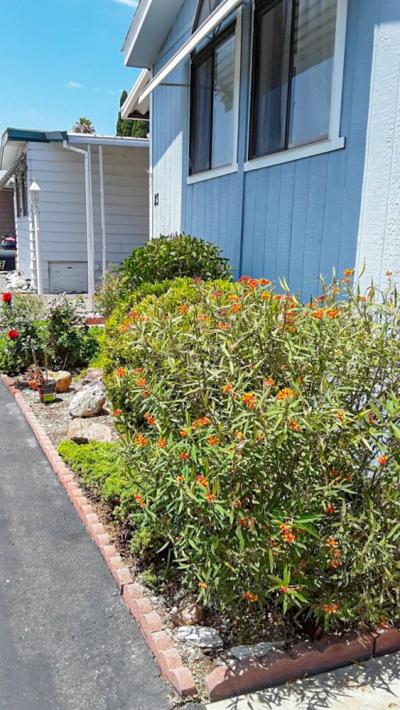 Photo 4 of 29 of home located at 15621 Beach Blvd. # 23 Westminster, CA 92683