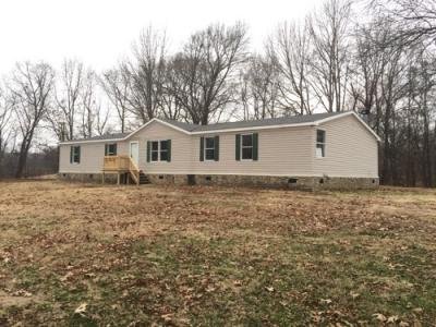 7 Mobile Homes For Sale or Rent in Millington, TN | MHVillage