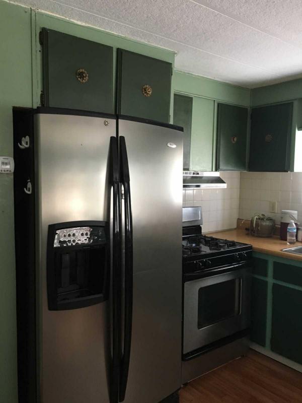 Senior Retirement Living 1981 Skyline Homette Mobile Home For Sale in