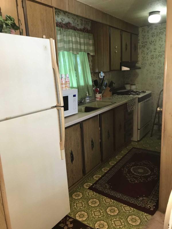 Senior Retirement Living 1976 Skyline Buddy Mobile Home For Sale in