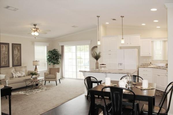 2021 Skyline Mobile Home For Rent