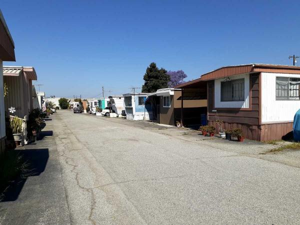 Mobile Home For Rent