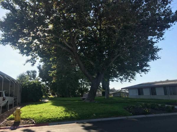 1980 Goldenwest Mobile Home For Rent