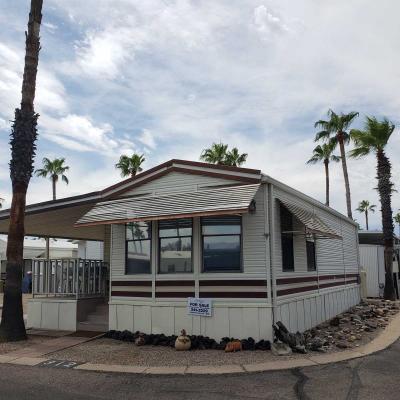 Rincon Country East - RV Resort Mobile Home Park in Tucson, AZ | MHVillage