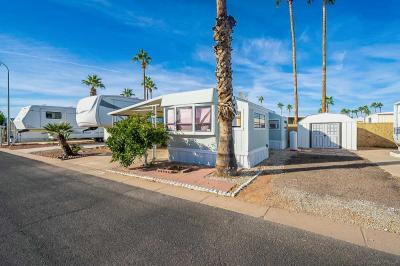 Parkhaven Estates and RV Resort Mobile Home Park in Mesa, AZ | MHVillage