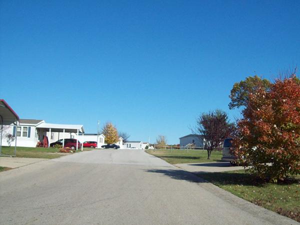 1996 SKYLINE Mobile Home For Sale