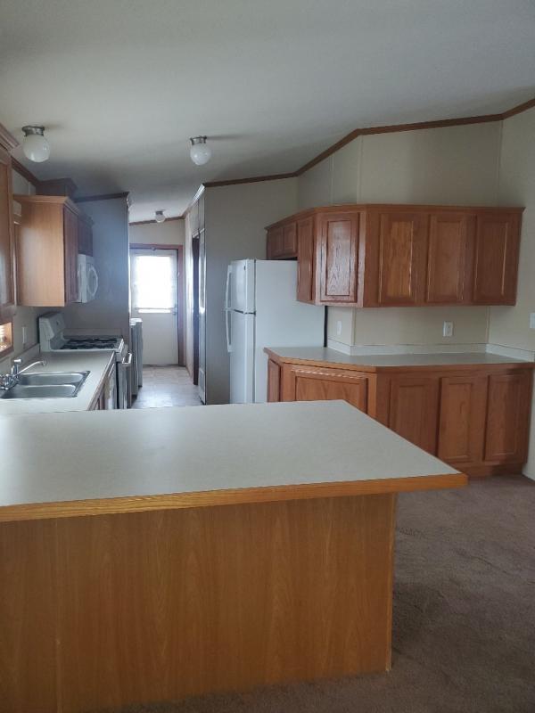 2005 skyline Mobile Home For Sale