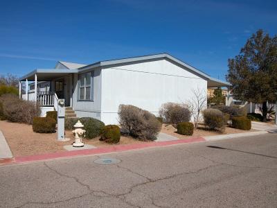 13 Mobile Homes For Sale or Rent in 89139, NV | MHVillage