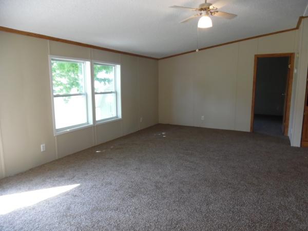 1995 Skyline Mobile Home For Sale