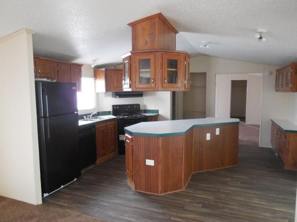 1995 Skyline Mobile Home For Rent