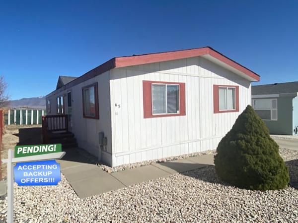 1994 Skyline Mobile Home For Sale