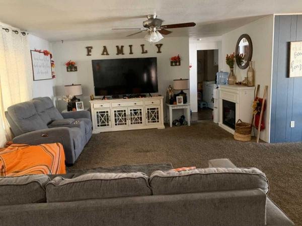 1975 Parkway Mobile Home For Sale