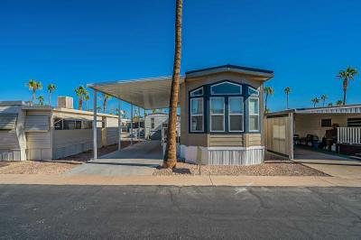 Mobile Home at 4220 E. Main Street #43A Mesa, AZ 85205