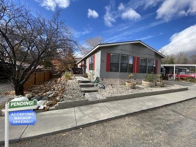 Mobile Home at 29 Cabernet Pkwy Reno, NV 89512