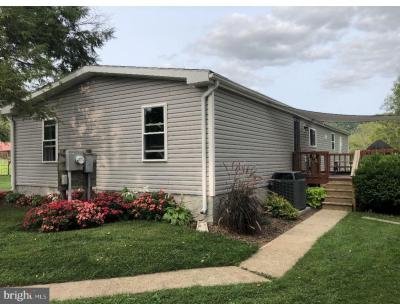 Mobile Home at 317 Holtzman Road Reinholds, PA 17569