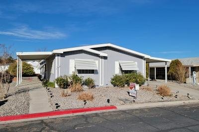 Mobile Home at 175 Vance Ct. Henderson, NV 89074