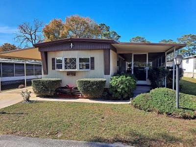 Mobile Home at 189 Countryside Dr. Orange City, FL 32763
