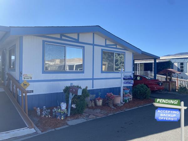 1984 Skyline Mobile Home For Sale