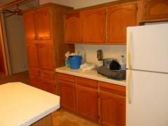 Photo 4 of 30 of home located at 100 Hidden River Dr Adrian, MI 49221