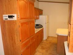 Photo 5 of 30 of home located at 100 Hidden River Dr Adrian, MI 49221