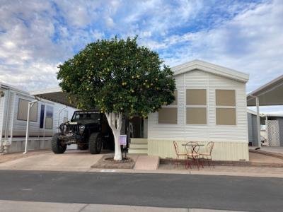 Mobile Home at 702 S. Meridian Rd. # 0976 Apache Junction, AZ 85120