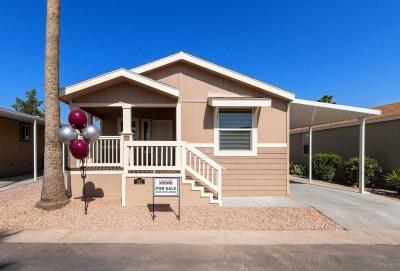 Mobile Home at 9333 E. University Drive #151 Mesa, AZ 85207