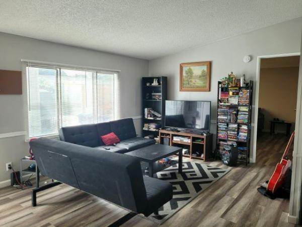 1991 Skyline Mobile Home For Sale