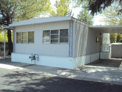 Mobile Home at 331 B Street Carson City, NV 89706