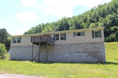 Mobile Home at 130 Lincoln Street Chattaroy, WV 25667