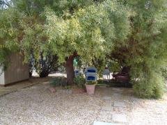 Photo 5 of 20 of home located at 5300 E. Desert Inn Rd Las Vegas, NV 89122