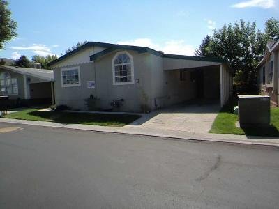 Mobile Home at 1707 Armagnea Street Carson City, NV 89701