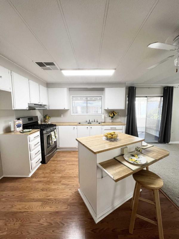 1975 Skyline Mobile Home For Sale