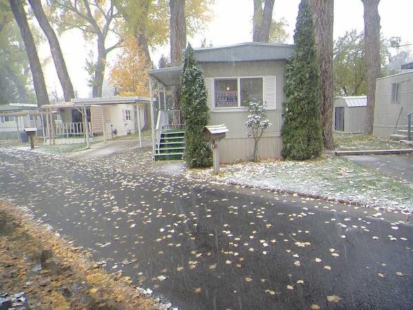1975 Governor Mobile Home For Sale