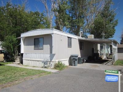 Mobile Home at 101 Lincoln Hwy #28 Wadsworth, NV 89442