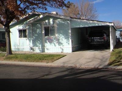 Mobile Home at 1718 Rhone Street Carson City, NV 89702