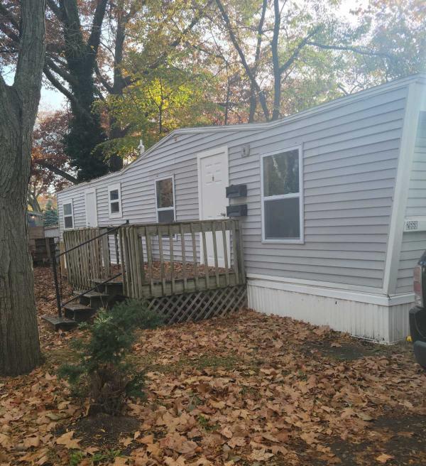 1971 Skyline Mobile Home For Sale