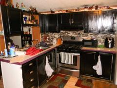 Photo 3 of 18 of home located at 905 Lancaster Dr Manitou Beach, MI 49253