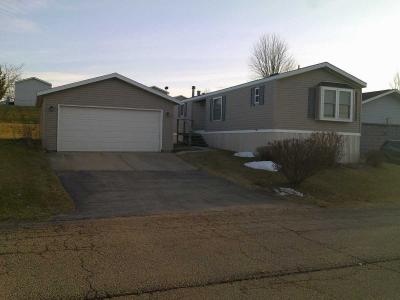 Mobile Home at 115 Schnitzler Drive Theresa, WI 53091