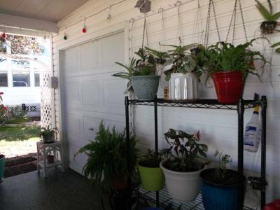 Available Home
