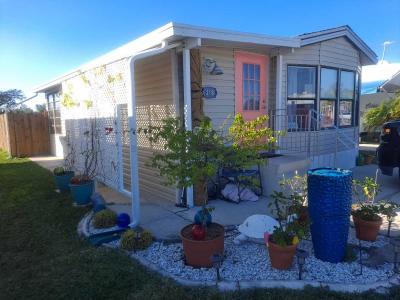 Available Home