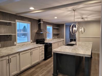 Mobile Home at 1133 Yeomans Street #186 Ionia, MI 48846