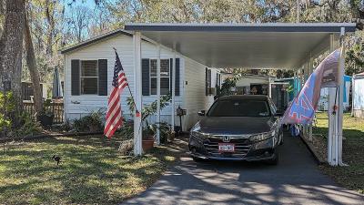 Mobile Home at 2320 Eslinger Rd. New Smyrna Beach, FL 32168