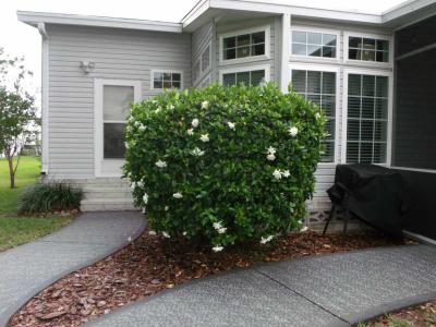 Available Home