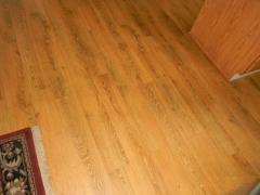 Photo 5 of 41 of home located at 100 Elkington Adrian, MI 49221