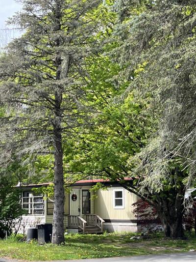 Mobile Home at 3 Coventry Lane Loch Sheldrake, NY 12759