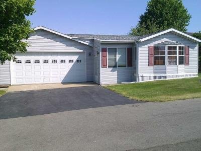 Mobile Home at 118 Kandy Drive Theresa, WI 53091