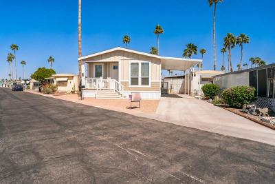 Mobile Home at 4065 E. University Drive #109 Mesa, AZ 85205