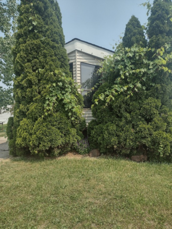 Cambridge Mobile Home For Sale 40972 Annapolis Cr Canton, MI