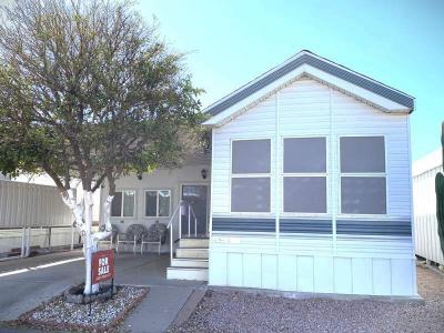 Mobile Home at 702 S. Meridian Rd. # 0465 Apache Junction, AZ 85120